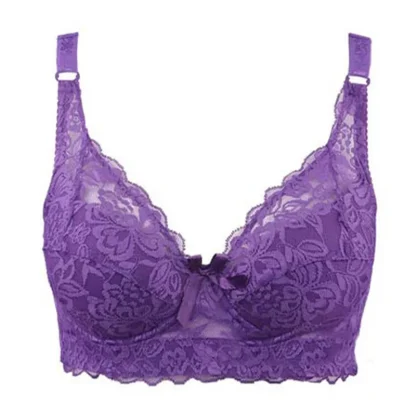 Plus Size Lace Push-Up Bra